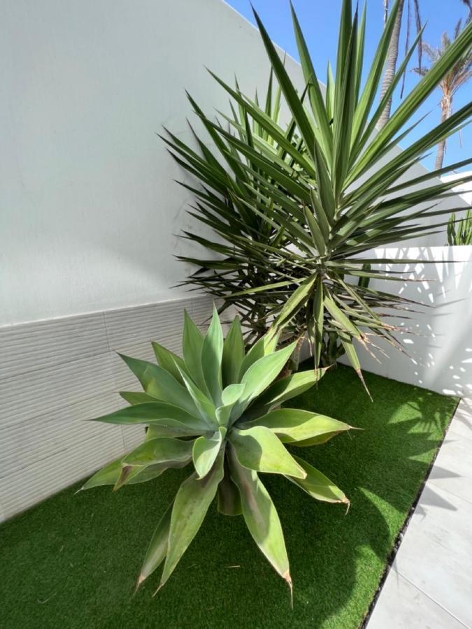 Corralejo Bristol Terrace Apartment Con Giardino Privato Esterno المظهر الخارجي الصورة