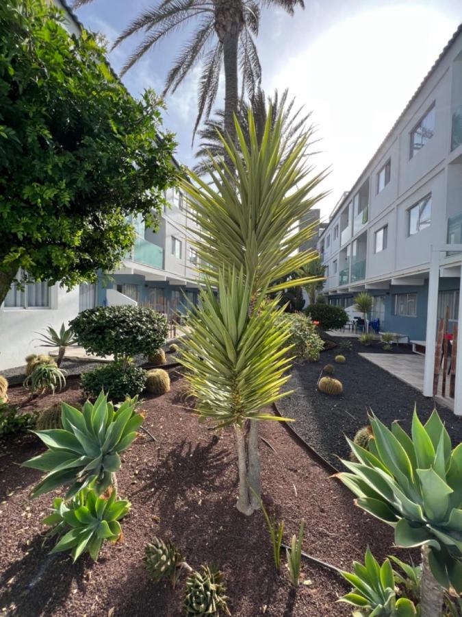 Corralejo Bristol Terrace Apartment Con Giardino Privato Esterno المظهر الخارجي الصورة